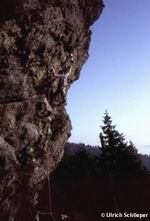 Sturzflug 8- am Kaitersberg, Bayerischer Wald