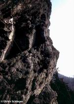 an der Steinbhler Gseng, Kaitersberg, Bayerischer Wald