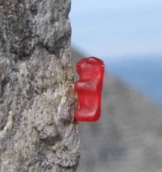 Gummib�rchen am Fels beim Klettern